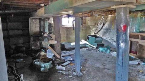 April 8, 2013 - P1010608e.jpg