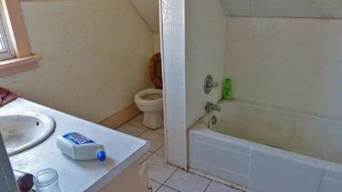 April 8, 2013 - P1010610e.jpg