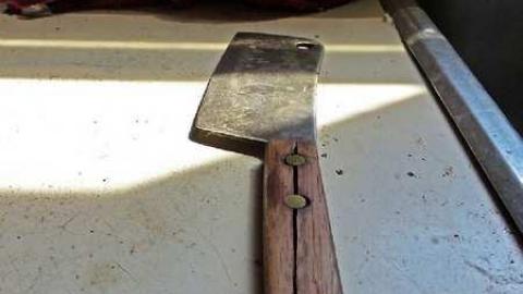 April 8, 2013 - P1010623e.jpg