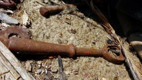 April 8, 2013 - P1010624e1200.jpg