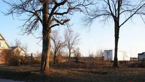 Where did the house go? - Not-Much,-But-History5.jpg