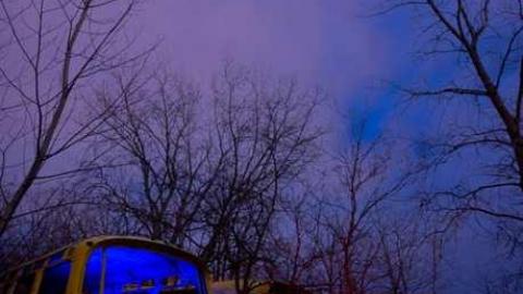 Dec 2012 - DSC07695.jpg