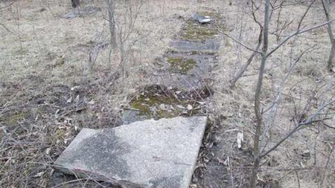 Photo from More Coyle Yard