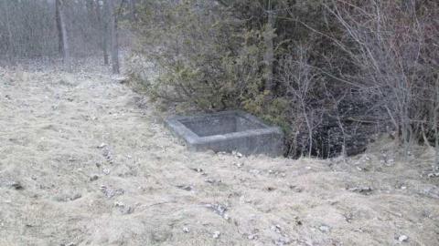 More Coyle Yard - Coyle-Roadhouse31.jpg