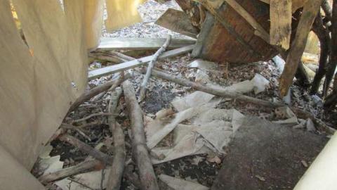 More Coyle Yard - Coyle-Roadhouse29.jpg