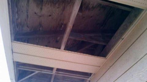 Photo from April of 13