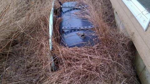 Divorce Doomed photo 5