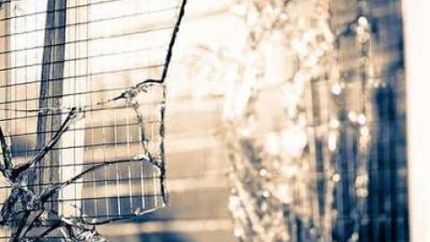 GO BEARS GO! - Bowmanville-Senior-Public-School320.jpg