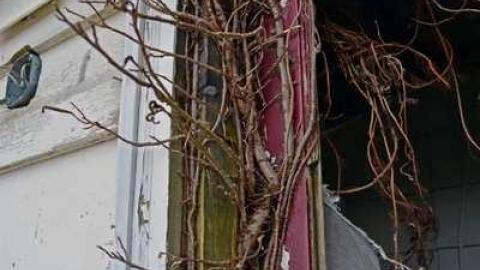 April/13 - DSC_0294.jpg