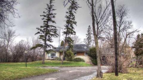 Dixieland Jazzed - Runway-Rundown110.jpg