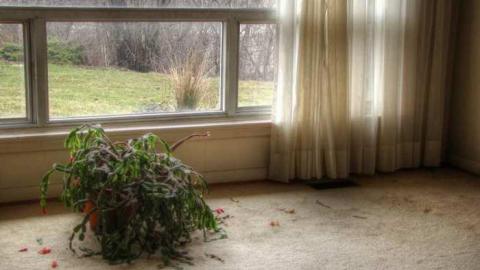 Dixieland Jazzed - Runway-Rundown127.jpg