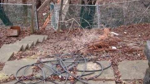 Dixieland Jazzed - Runway-Rundown129.jpg