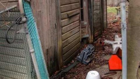 Dixieland Jazzed - Runway-Rundown14.jpg