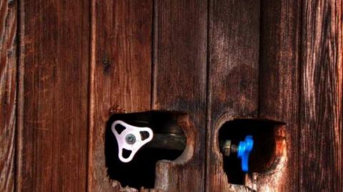 Dixieland Jazzed - Runway-Rundown134.jpg