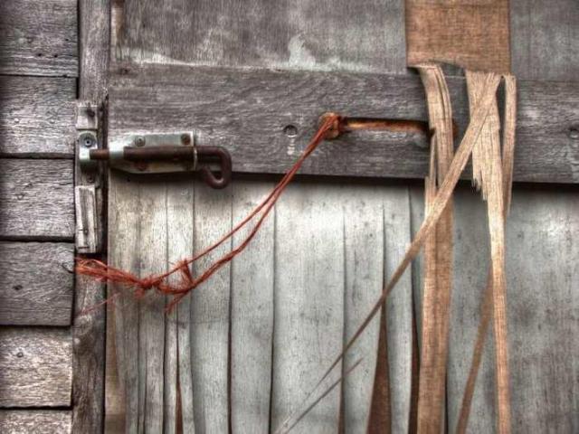 Runway Rundown photo 2