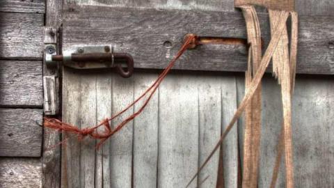 Photo from Dixieland Jazzed