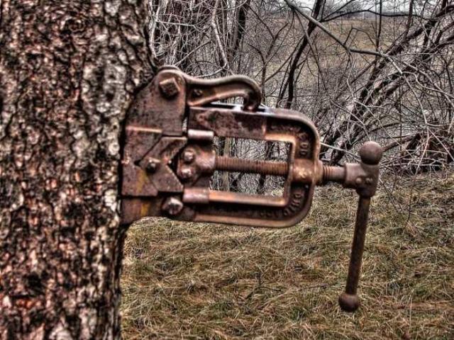 Runway Rundown photo 3