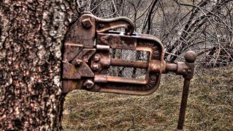 Photo from Dixieland Jazzed