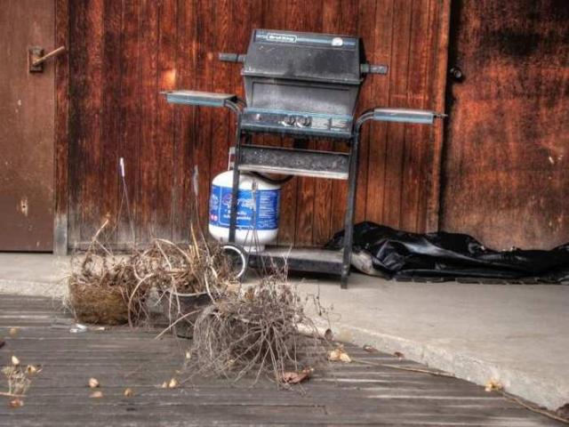 Runway Rundown photo 4