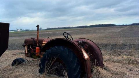 So Much Too See - DSC_0120.jpg