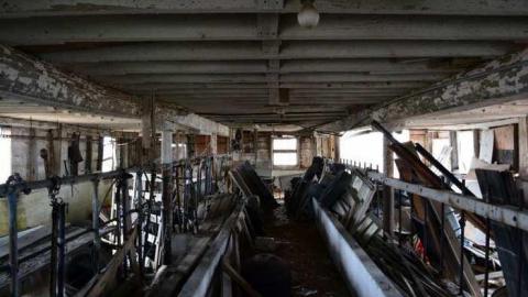 So Much Too See - DSC_0125.jpg