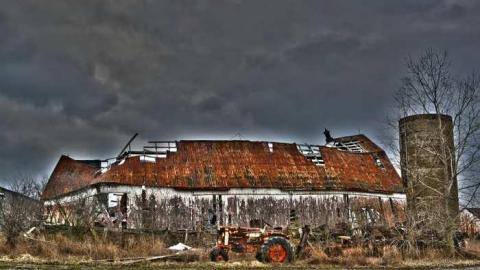 So Much Too See - DSC_0132.jpg