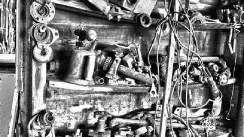 So Much Too See - DSC_0144.jpg