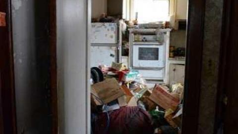 Photo from So Much Too See