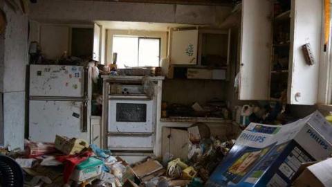 Photo from So Much Too See