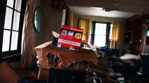 So Much Too See - DSC_0167.jpg