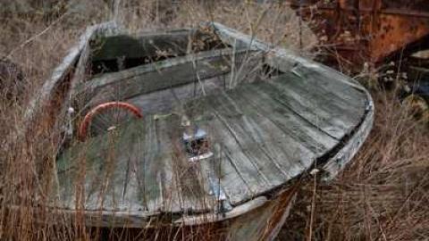 April/13 - DSC_0093.jpg