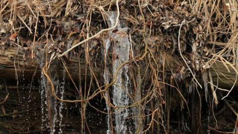 tyrconnell visit - Tyrconnell-(ghost-town)26.jpg