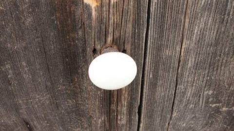 tyrconnell visit - Tyrconnell-(ghost-town)21.jpg