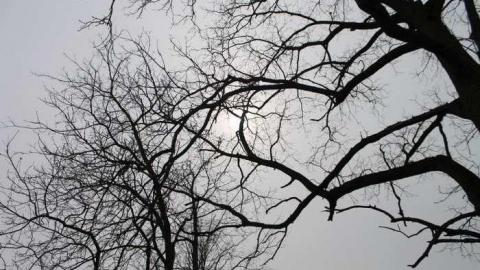 tyrconnell visit - Tyrconnell-(ghost-town)32.jpg