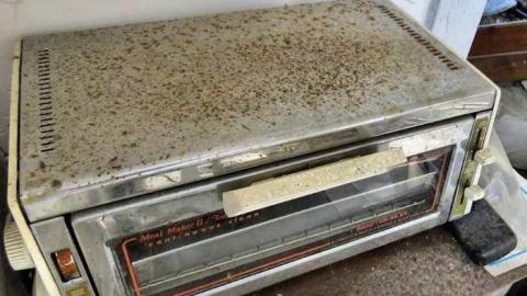 Chippawa Wasting - Kingsbridge-Waiting--Wasting6.jpg