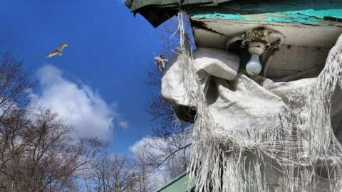 Kingsbridge Waiting & Wasting - Niagara Falls, Ontario