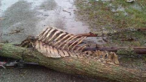 Meeting adjourned - WP_000344.jpg