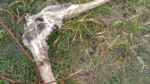 Meeting adjourned - WP_000352.jpg