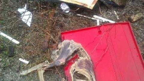 Meeting adjourned - WP_000354.jpg