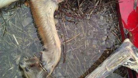 Meeting adjourned - WP_000358.jpg