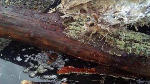 Meeting adjourned - WP_000362.jpg