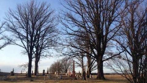 Spring 2013 - The-Scotch-Settlement-181954.jpg