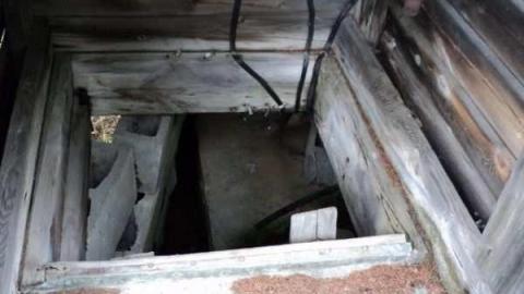 Gallery - Windmill6.jpg