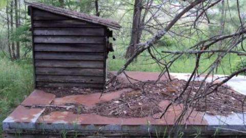 Gallery - Windmill7.jpg