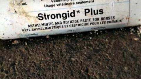 Horse Barn - Old-Howell-horse-barn9.jpg