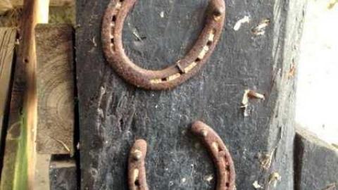 Horse Barn - Old-Howell-horse-barn7.jpg