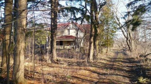 Giddy Up - High-Point-Equestrian11.jpg