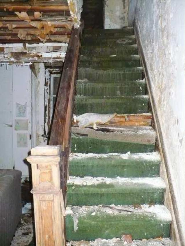 High Point Equestrian photo 5