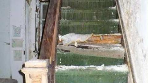 Giddy Up - High-Point-Equestrian6.jpg