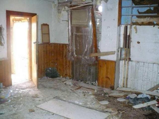 High Point Equestrian photo 4